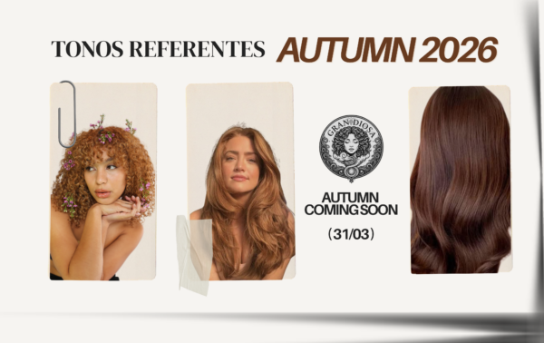 Banner Web Horizontal (1200 x 628 mm) (1920 x 680 mm) (1080 x 680 mm)